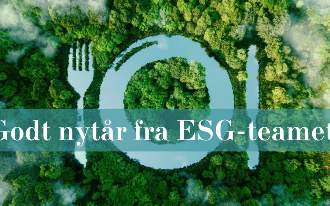 ESG-teamet ønsker jer alle et godt nytår